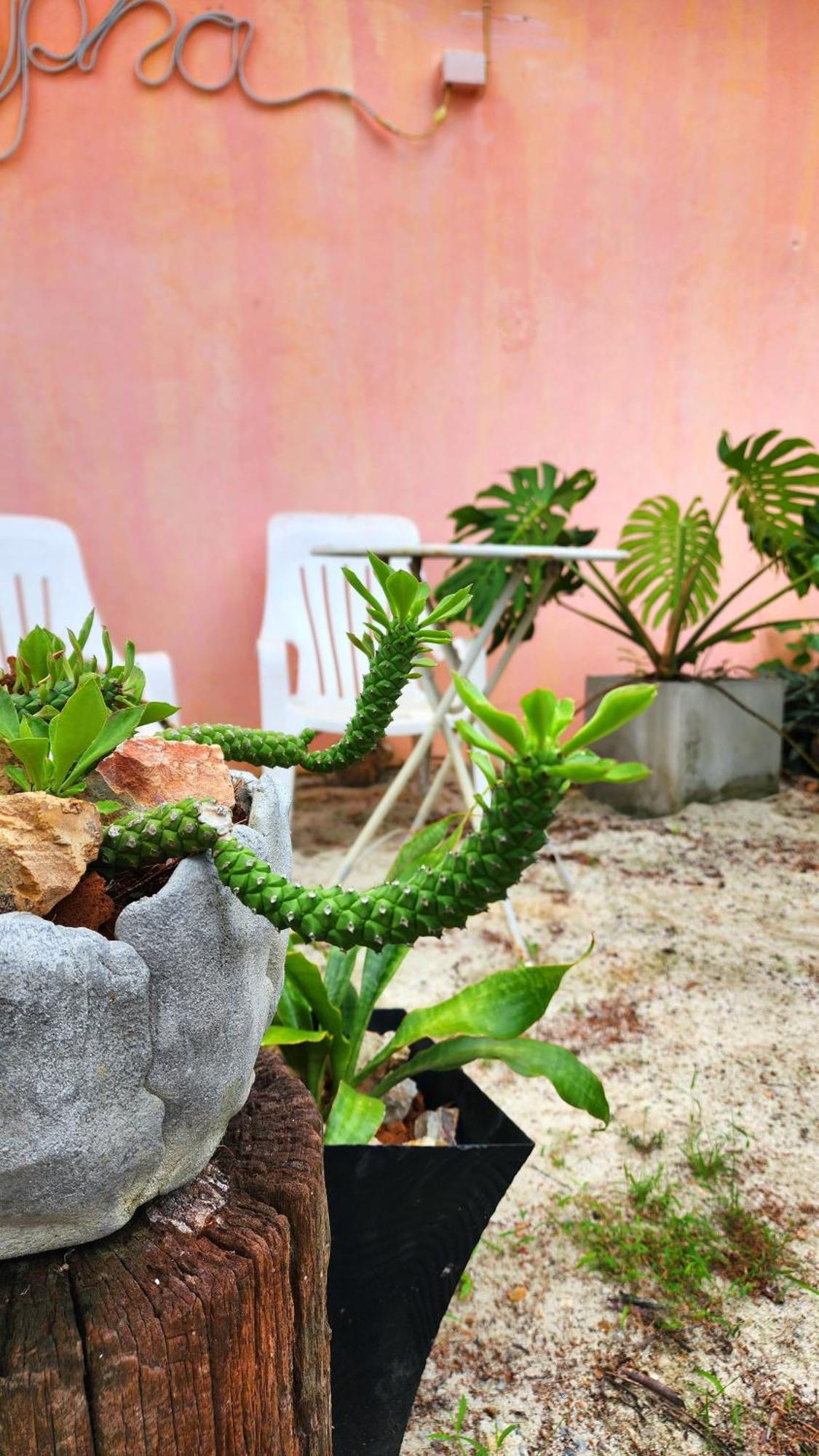 Ingpha Room For Rent Satun Exterior photo